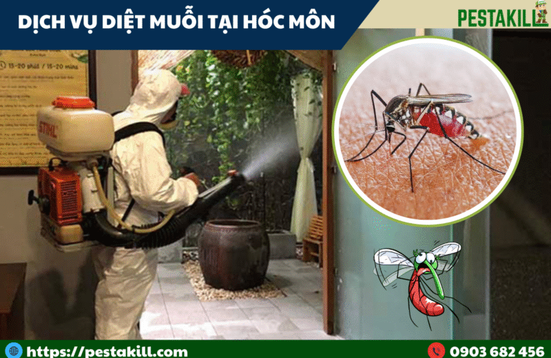 diệt muỗi tại hóc môn
