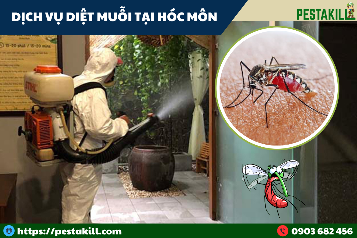diệt muỗi tại hóc môn diệt muỗi tại hóc môn