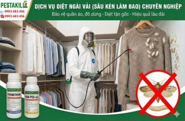 dịch vụ diệt ngài vải